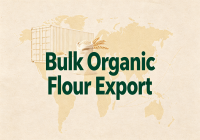 Bulk Organic Flour Export