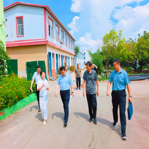 Customer Delegation Visits Our Organic Wheat Flour Factory for Cooperation Discussions
